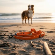 Smycz wodoodporna dla dużego psa 2 CM SHELBYPETS POMARAŃCZOWY (Product Staging) (1).jpg