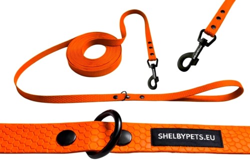 Smycz treningowa dla dużego psa 2cm  5–30 m HEXA – pomarańczowa.jpg