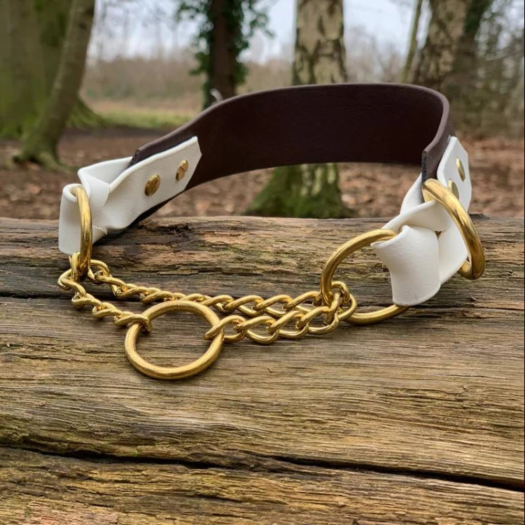 brown-white-collar-with-hardware-607-d8.jpg