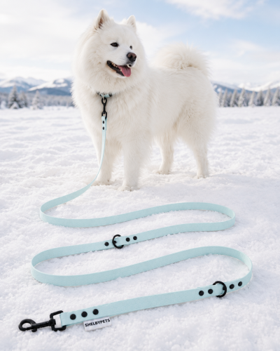 Pies pozujący wraz ze smyczą wodoodporną przepinaną w kolorze pastelowo niebieskim Model Woofy Leash Lock ShelbyPets  (11).png