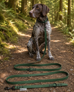 Pies pozujący wraz ze smyczą wodoodporną przepinaną w kolorze oliwkowym Model Woofy Leash Lock ShelbyPets  (9).png