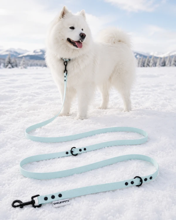 Pies pozujący wraz ze smyczą wodoodporną przepinaną w kolorze pastelowo niebieskim Model Woofy Leash Lock ShelbyPets  (11).png