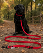 Pies pozujący wraz ze smyczą wodoodporną przepinaną w kolorze czerwonym Model Woofy Leash Lock ShelbyPets  (14).png