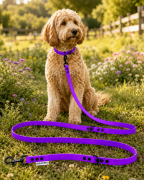 Pies pozujący wraz ze smyczą wodoodporną przepinaną w kolorze fioletowym Model Woofy Leash Lock ShelbyPets  (7).png