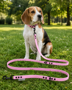 Pies pozujący wraz ze smyczą wodoodporną przepinaną w kolorze oliwkowym Model Woofy Leash Lock ShelbyPets  (15).png