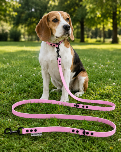 Pies pozujący wraz ze smyczą wodoodporną przepinaną w kolorze lawendowym Model Woofy Leash Lock ShelbyPets  (15).png