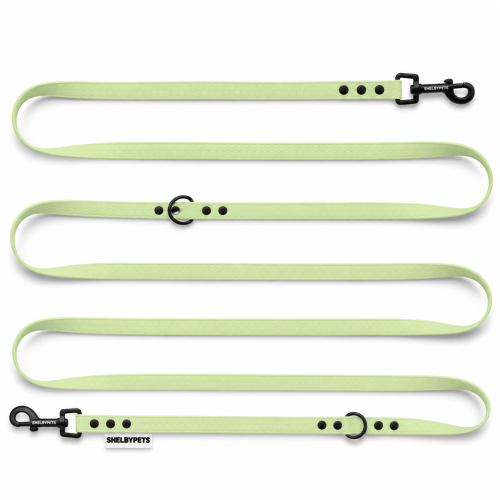 WOOFY LEASH LOCK 1,6cm - miętowo zielona.png