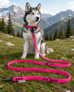Pies pozujący wraz ze smyczą wodoodporną przepinaną w kolorze różowym Model Woofy Leash Lock ShelbyPets  (8).png