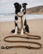 Pies pozujący wraz ze smyczą wodoodporną przepinaną w kolorze brązowym Model Woofy Leash Lock ShelbyPets  (18).png