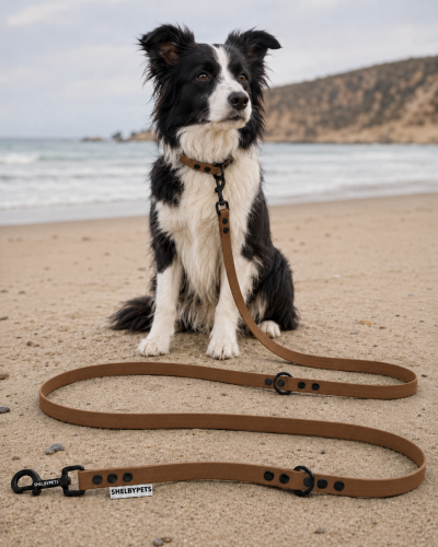 Pies pozujący wraz ze smyczą wodoodporną przepinaną w kolorze brązowym Model Woofy Leash Lock ShelbyPets  (18).png