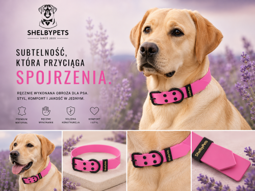 Kolaż zdjęc różowej obroży.png