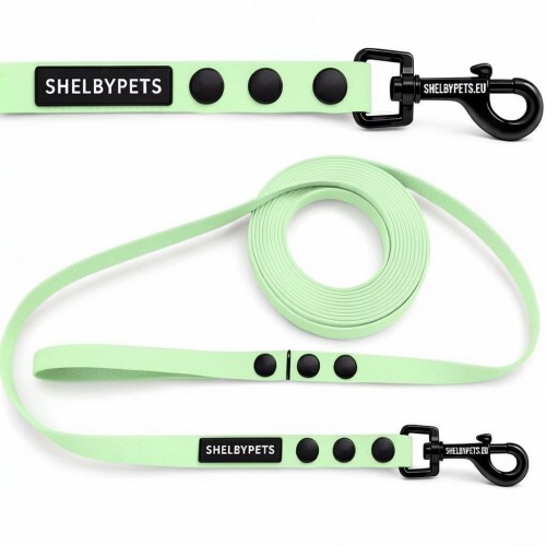 Smycz treningowa dla średniego psa 1,6cm  5–30 m HEXA – miętowo zielony.jpg