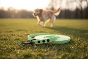 Smycz wodoodporna dla średniego psa 1,6CM SHELBYPETS MIĘTOWO ZIELONA (Product Staging).jpg
