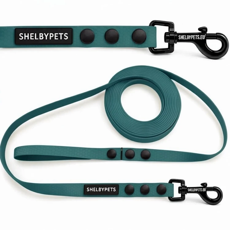 Smycz treningowa dla średniego psa 1,6cm  5–30 m HEXA – zielony myśliwy