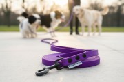 Smycz wodoodporna dla średniego psa 1,6CM SHELBYPETS FIOLETOWY (Product Staging) (1).jpg