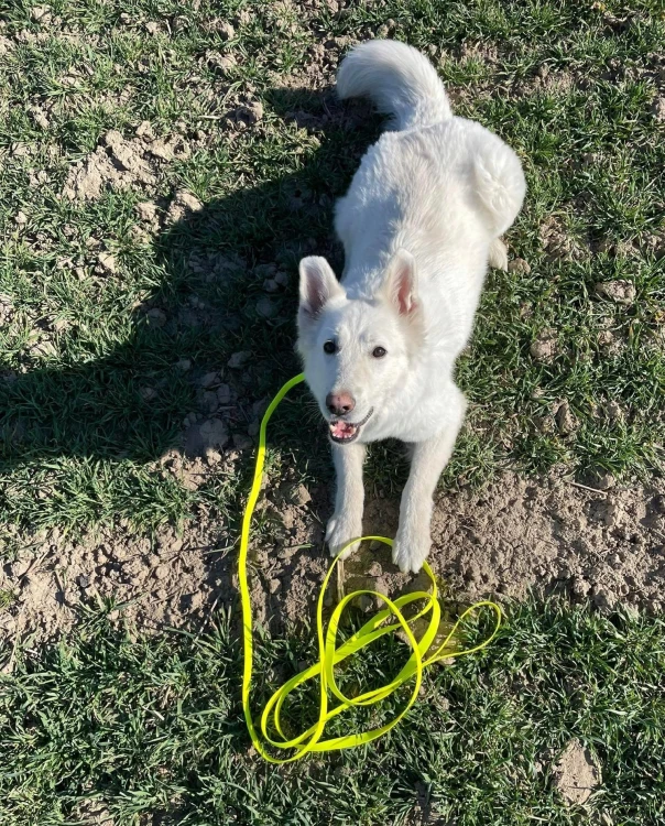 b45d997d516770ecc008216c8b4d44f1.jpg