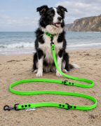 Pies pozujący wraz ze smyczą wodoodporną przepinaną w kolorze zielonym Model Woofy Leash Lock ShelbyPets  (25).png