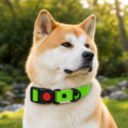 PIES POZUJĄCY W OBROŻY WODOODPORNEJ WOOFY SAFE LOCK  W KOLORZE  ZIELONYM.png