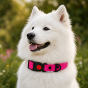PIES POZUJĄCY W OBROŻY WODOODPORNEJ WOOFY SAFE LOCK  W KOLORZE  RÓŻOWYM.png