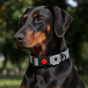 PIES POZUJĄCY W OBROŻY WODOODPORNEJ WOOFY SAFE LOCK  W KOLORZE  SZARYM.png