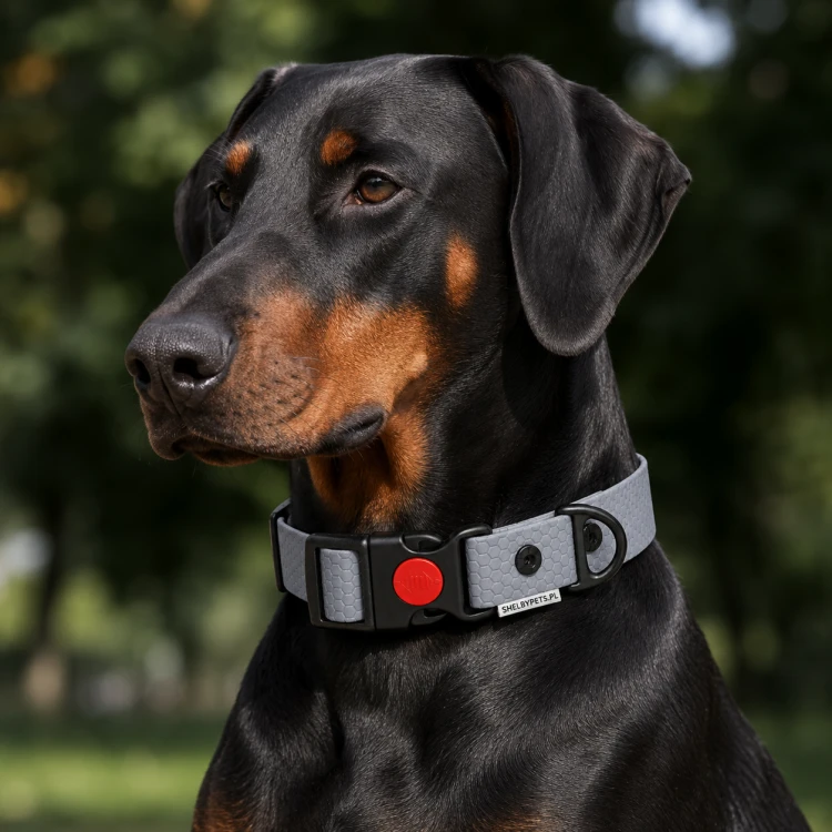 PIES POZUJĄCY W OBROŻY WODOODPORNEJ WOOFY SAFE LOCK  W KOLORZE  SZARYM.png