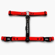 SZELKI WOOFY HARNESS KOLOR CZERWONY.jpg