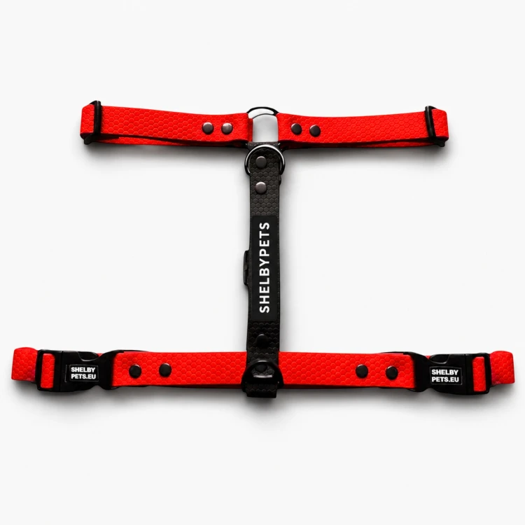 SZELKI WOOFY HARNESS KOLOR CZERWONY.jpg