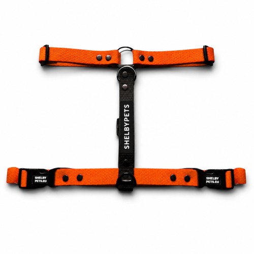 SZELKI WOOFY HARNESS KOLOR POMARAŃCZOWY.jpg