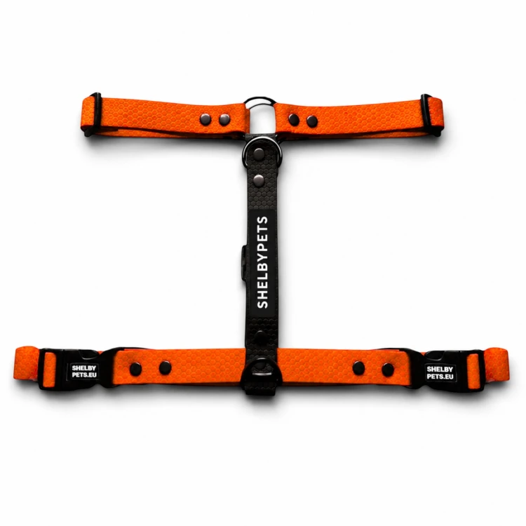 SZELKI WOOFY HARNESS KOLOR POMARAŃCZOWY.jpg