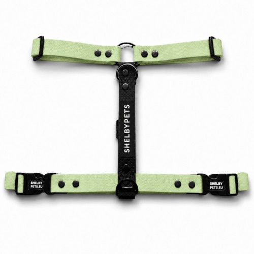 SZELKI WOOFY HARNESS KOLOR MIĘTOWO-ZIELONY.jpg