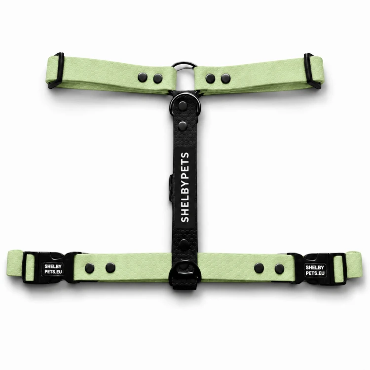 SZELKI WOOFY HARNESS KOLOR MIĘTOWO-ZIELONY.jpg