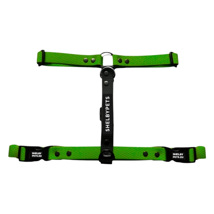 SZELKI WOOFY HARNESS KOLOR OLIWKOWY.jpg