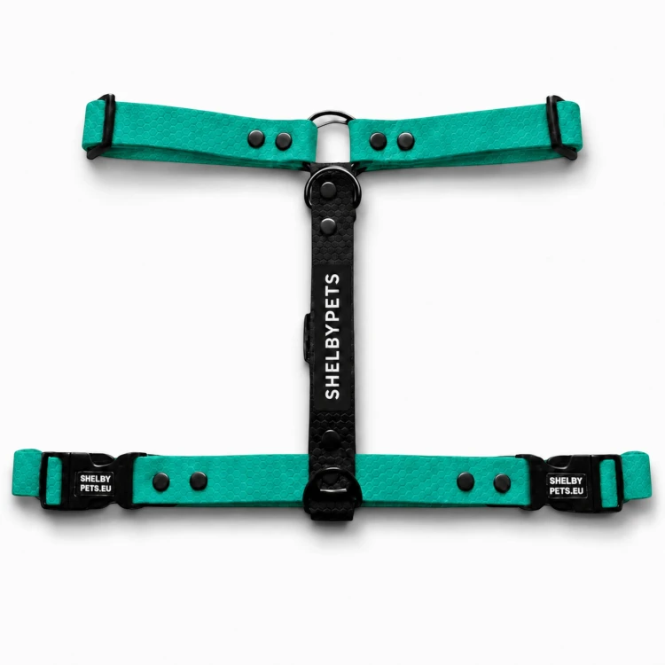 SZELKI WOOFY HARNESS KOLOR KARAIBSKO ZIELONY.jpg