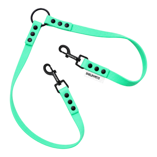WOOFY DUAL LEASH DWÓJNIK W KOLORZE -  KARAIBSKO ZIELONYM.png